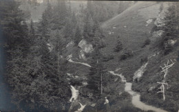 MURREN / CARTE PHOTO UN COIN DE CAMPAGNE - Mürren