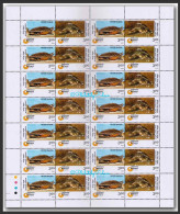 INDIA 2000 Endangered Species: Turtles (Batagur Terrapin And Olive Ridley Turtle) Setenant, Sheet MNH (**) Inde Indien - Nuevos