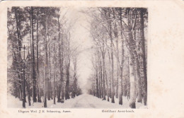 2603639Hoofdlaan Asser Bosch In De Sneeuw. Rond 1900. - Assen