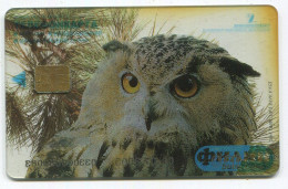 Russia:Used Phonecard, Uralsvjazinform, 100 Units, Owl, 2005 - Russia