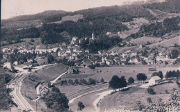 Lichtensteig SG, Chemin De Fer Et Village (3610) - Lichtensteig