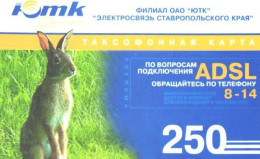 Russia:Used Phonecard, OAO Jutk Branch, Elektrosvjaz Stavropolskogo Kraja, 250 Units, Rabbit - Russia