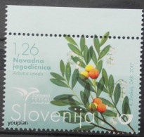 Slovenia 2017, Euromed - Trees, MNH Single Stamp - Slovenia