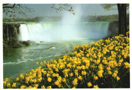 NIAGARA FALLS, ONTARIO, WATERFALL, BOAT, TOWER, FIELD OF FLOWERS, CANADA, POSTCARD - Niagarafälle