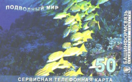 Russia:Used Phonecard, OAO Bashinformsvjaz, 50 Units, Fishes, 2005 - Russie