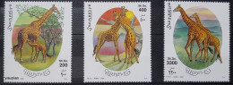 Somalia 2000, Giraffe, MNH Stamps Set - Somalia (1960-...)