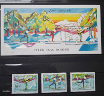 Somalia 2001, Cross - Country Skiing, MNH S/S And Stamps Set - Somalia (1960-...)