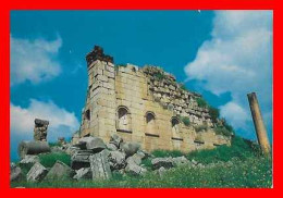 CPSM/gf JERASH (Jordanie)  Artemis Temple..*5964 - Giordania