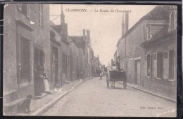 89 - Champigny - La Route De Chaumont - Champigny