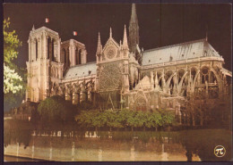 PARIS NOTRE DAME LA NUIT 75 - París La Noche