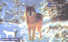 Russia:Used Phonecard, Jekaterinburg International Telefon Station, 100 Units, Ural Fauna, Wolf, Canis Lupus, 2002 - Russie