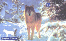 Russia:Used Phonecard, Jekaterinburg International Telefon Station, 70 Units, Ural Fauna, Wolf, Canis Lupus, 2002 - Russie