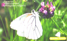 Russia:Used Phonecard, Uralsvjazinform, 225 Units, Ural Fauna, Butterfly, Sphingidae Vulgaris, 2006 - Russia