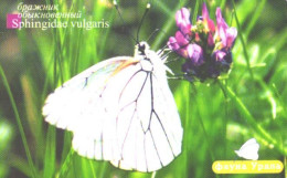 Russia:Used Phonecard, Uralsvjazinform, 225 Units, Ural Fauna, Butterfly, Sphingidae Vulgaris, 2006 - Russie