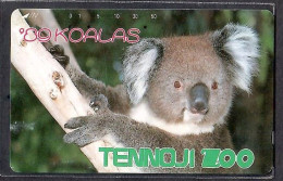 Japan 1V Koala Tennoji Zoo Used Card - Selva
