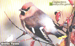 Russia:Used Phonecard, Uralsvjazinform, 150 Units, Ural Fauna, Bird, Bombycilla Garullos, 2004 - Russia