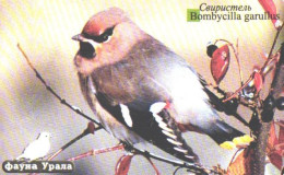 Russia:Used Phonecard, Uralsvjazinform, 100 Units, Ural Fauna, Bird, Bombycilla Garullos, 2004 - Russie