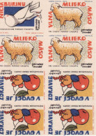 Slovakia - 8 Matchbox Labels - Magazine Gardener And Breeder, Sheep, Pigeon, Apple, Plum, Cherry - Boites D'allumettes - Etiquettes