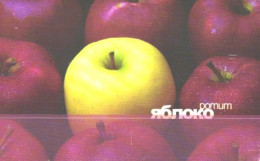 Russia:Used Phonecard, Uralsvjazinform, 120 Units, Apples, 2004 - Russia