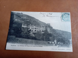 H10/324- Le Château Du Corps De Loup Et Le Coteau - Condrieu