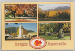 Australia VICTORIA VIC Autumn Multiviews Of BRIGHT Rose Series No.2926 Postcard C1980s - Autres & Non Classés