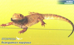 Russia:Used Phonecard, OAO Bashinformsvjaz, 60 Units, Lizard, 2007 - Russia