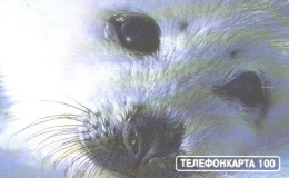 Russia:Used Phonecard, AO Moscow City Phone Network, 100 Units, Eyes, Seal, 2002 - Russia