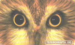 Russia:Used Phonecard, AO Moscow City Phone Network, 100 Units, Eyes, Owl, 2002 - Russia