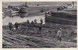 2603772Zuiderzeewerken, Vlechten Zinkstuk.(minuscule Vouwen In De Hoeken) - Den Oever (& Afsluitdijk)