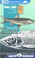 Russia:Used Phonecard, Centrtelekom, 50 Units, Fish, Aspius Aspius, 2004 - Russia