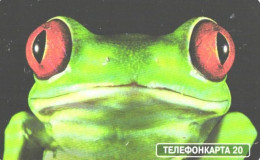 Russia:Used Phonecard, AO Moscow City Phone Network, 20 Units, Eyes, Frog, 2002 - Russia