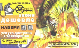Russia:Used Phonecard, AO Moscow City Phone Network, 600 Units, Advertising, Zebras, 2006 - Russia