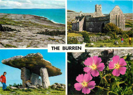 Irlande - Clare - The Burren - Multivues - Fleurs - CPM - Voir Scans Recto-Verso - Clare
