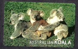 Japan 1V Koala Australian Koala Advertising Used Card - Dschungel