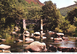 DARTMOOR, DEVON, FINGLE BRIDGE, ENGLAND, UNITED KINGDOM, POSTCARD - Dartmoor