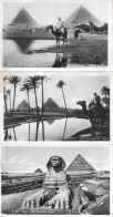 EGYPTE PORT-SAïD 5 Cartes Photos  . - Pyramides