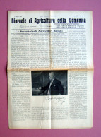 Mostra Zootecnia A Castiglion F.no Giornale Agricoltura Della Domenica 1911 - Ohne Zuordnung