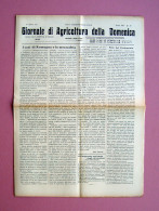 Miglioramento Zootecnia Nel Tortonese Giornale Agricoltura Della Domenica 1911 - Ohne Zuordnung