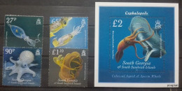 South Georgia And The South Sandwich Islands 2010, Squids - Octopuses, MNH S/S And Stamps Set - Georgias Del Sur (Islas)