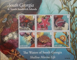 South Georgia And The South Sandwich Islands 2011, The Waters Of South Georgia, MNH S/S - Georgia Del Sud