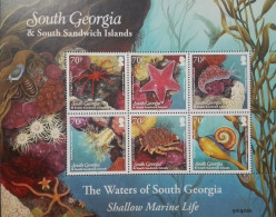 South Georgia And The South Sandwich Islands 2011, The Waters Of South Georgia, MNH S/S - South Georgia