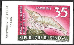 Senegal/Sénégal: Non Dentellati, Imperforate, Non Dentelé, Penaeus Duorarum, (gambero Rosa, Pink Crayfish, Crevette Rose - Schalentiere