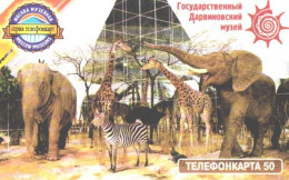 Russia:Used Phonecard, AO Moscow City Phone Network, 50 Units, Darwin Museum, Tiger, Elephant, Giraffes, 2003 - Russia