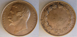 Médaille En Cuivre Napoleon III , Département De La Seine Et Marne 1860 , Par Longueil - Royaux / De Noblesse