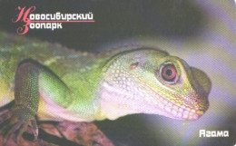 Russia:Used Phonecard, AO Elektrosvjaz, Novosibirski Branch, 200 Bit, Novosibirski Zoo, Lizard - Russia