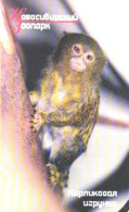 Russia:Used Phonecard, OAO Sibirtelekom, Elektrosvjaz NSO, 200 Bit, Novosibirski Zoo, Ape, Monkey - Russia