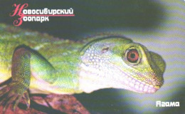 Russia:Used Phonecard, OAO Sibirtelekom, 200 Bit, Novosibirski Zoo, Lizard, Different Color - Russia