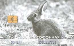 Russia:Used Phonecard, International Card, 50 Units, Rabbit, 2004 - Russia