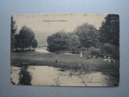 Paysage Sur L'Amblève - Amblève - Amel