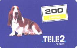 Russia:Used Phonecard, Tele2 GSM Irkutsk, 200 Units, Dog, 2005 - Russia